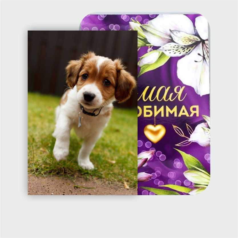 Фото магниты