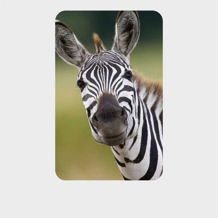 Пластиковые магниты